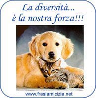 Amici cane e gatto