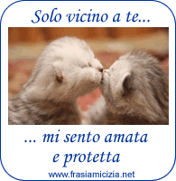 Frasi Amicizia gattini