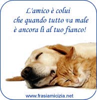 Frasi d'amicizia